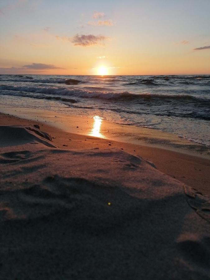 Zalotna Mewa Gaski Exteriér fotografie