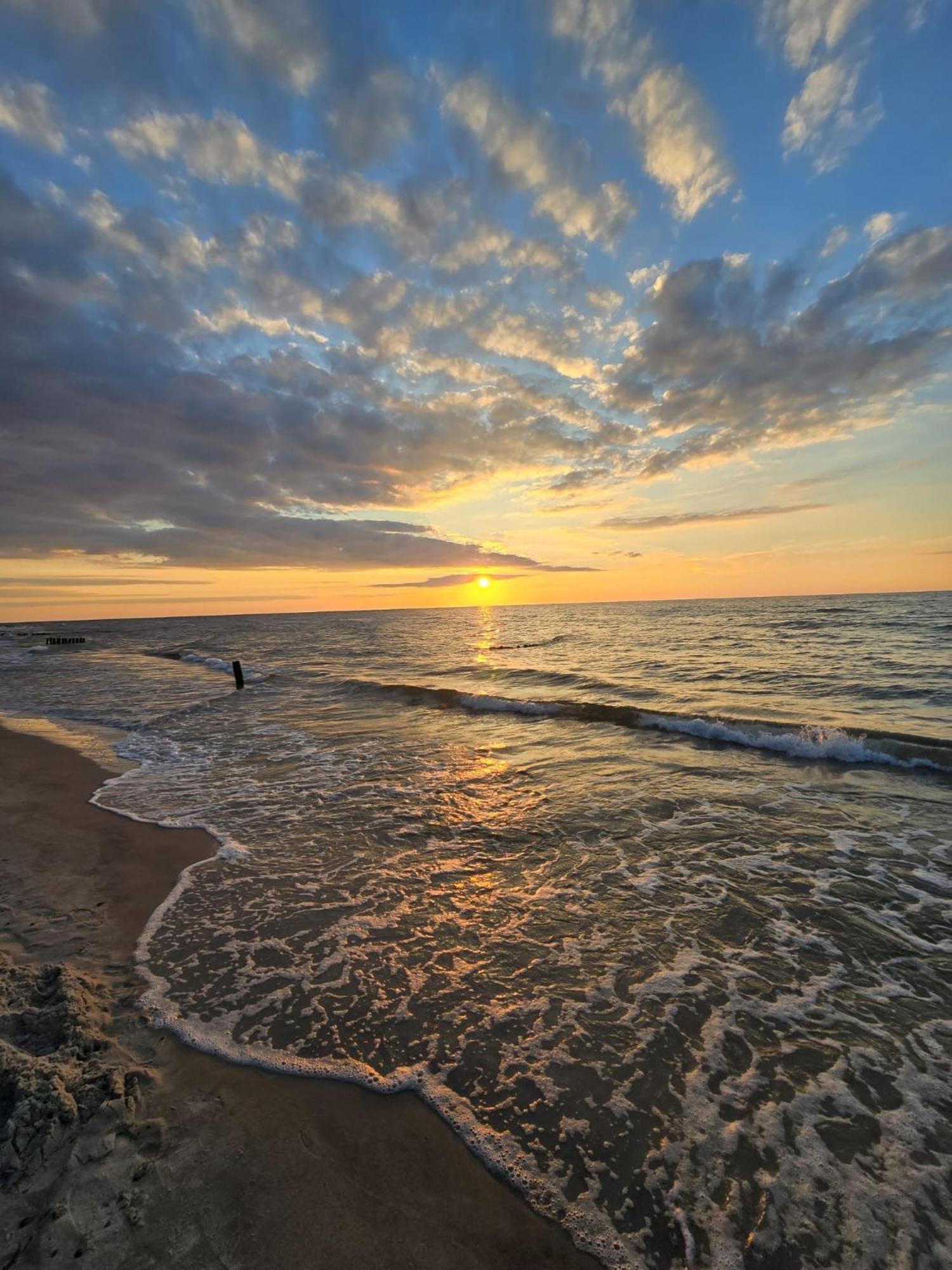 Zalotna Mewa Gaski Exteriér fotografie